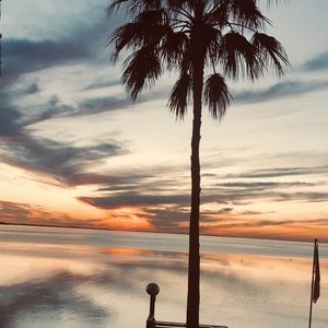 Meet your Posher, Judith